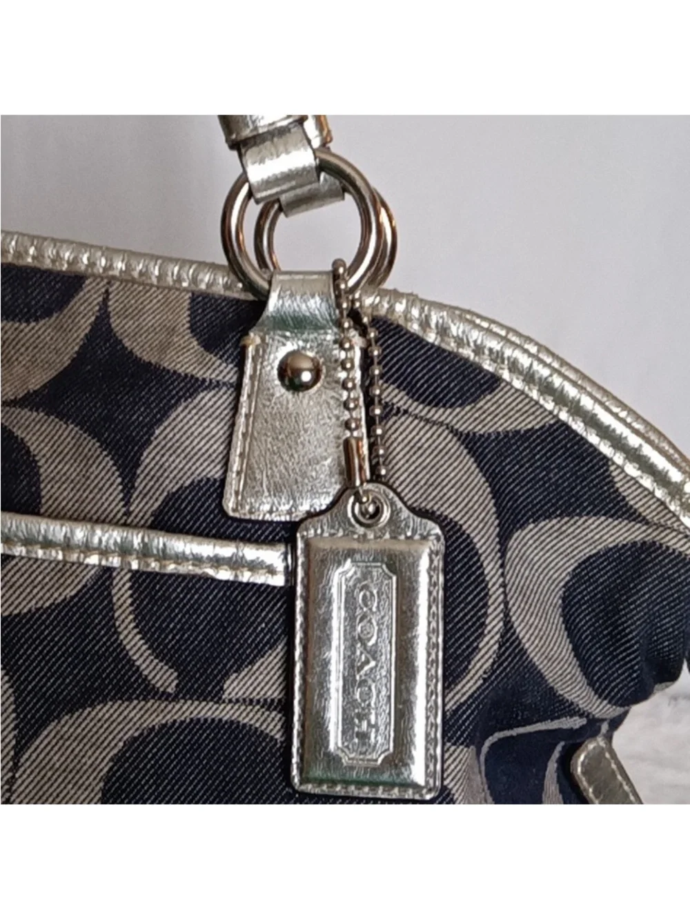 Coach Signature 